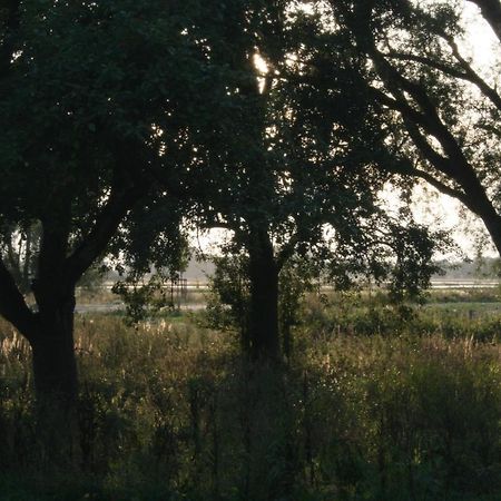 Landhaus An Der Wiek Poseritz Екстер'єр фото